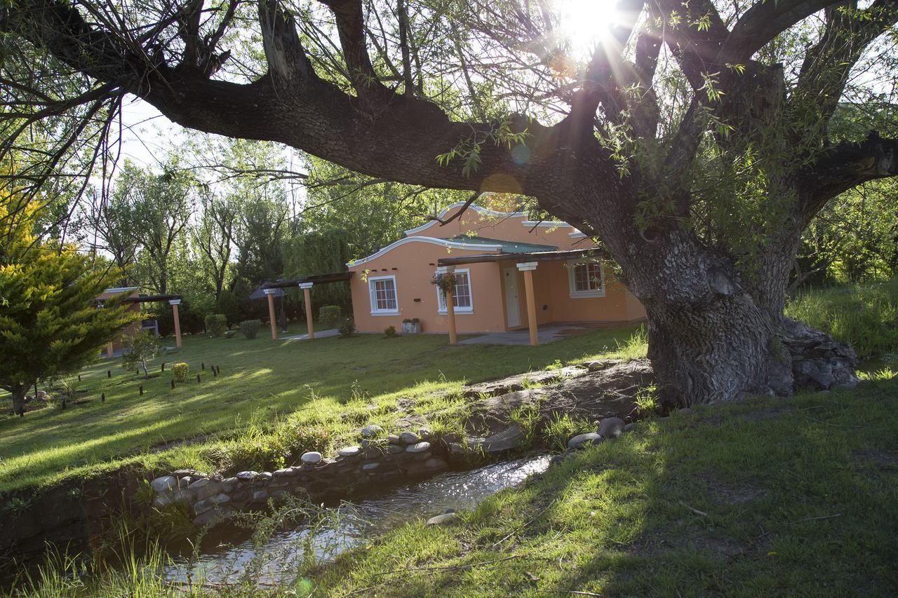 Cabanas El Tepeyac San Rafael (Mendoza) Bagian luar foto